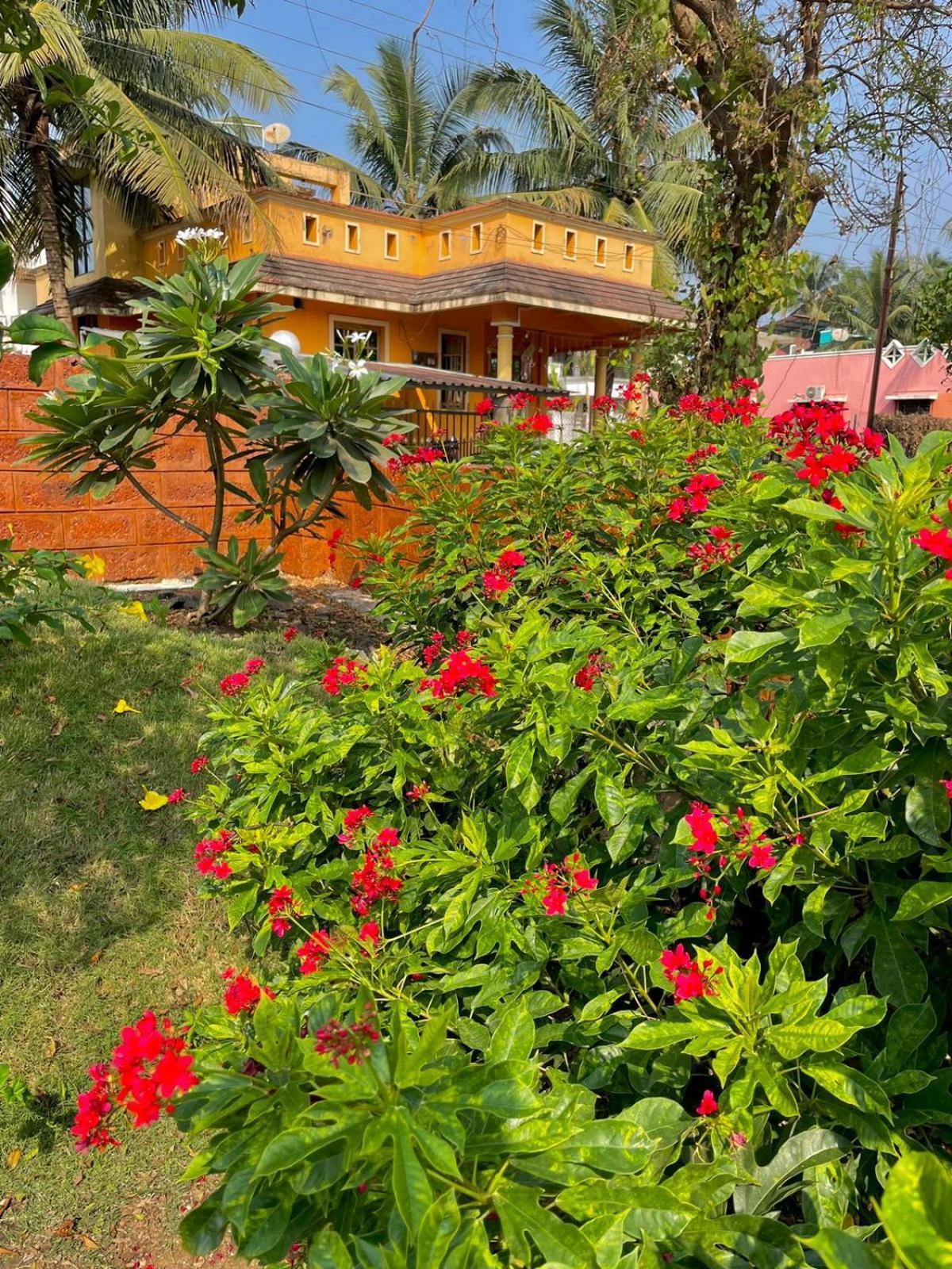 Scarlet Resort אליבג מראה חיצוני תמונה